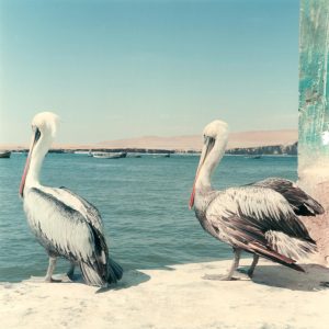 PHotographie prise au Pérou, avec un rolleiflex, tirage fine art